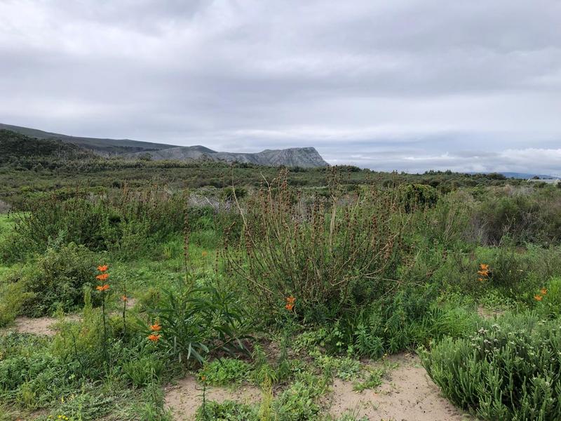 0 Bedroom Property for Sale in Franskraal Western Cape